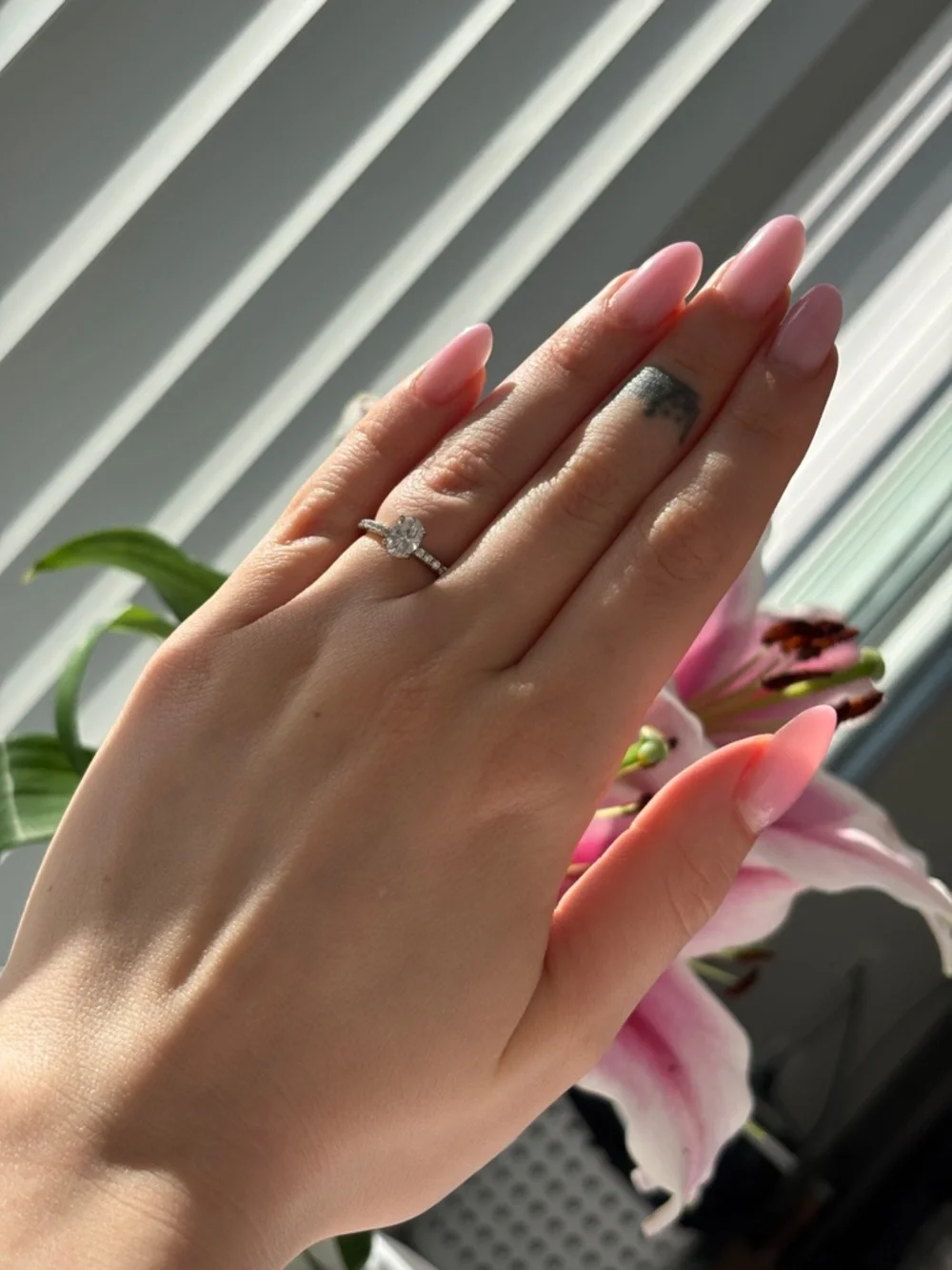 Moissanite Solitaire Pavé Engagement Ring - Silver 925 - Picture 3 of 5